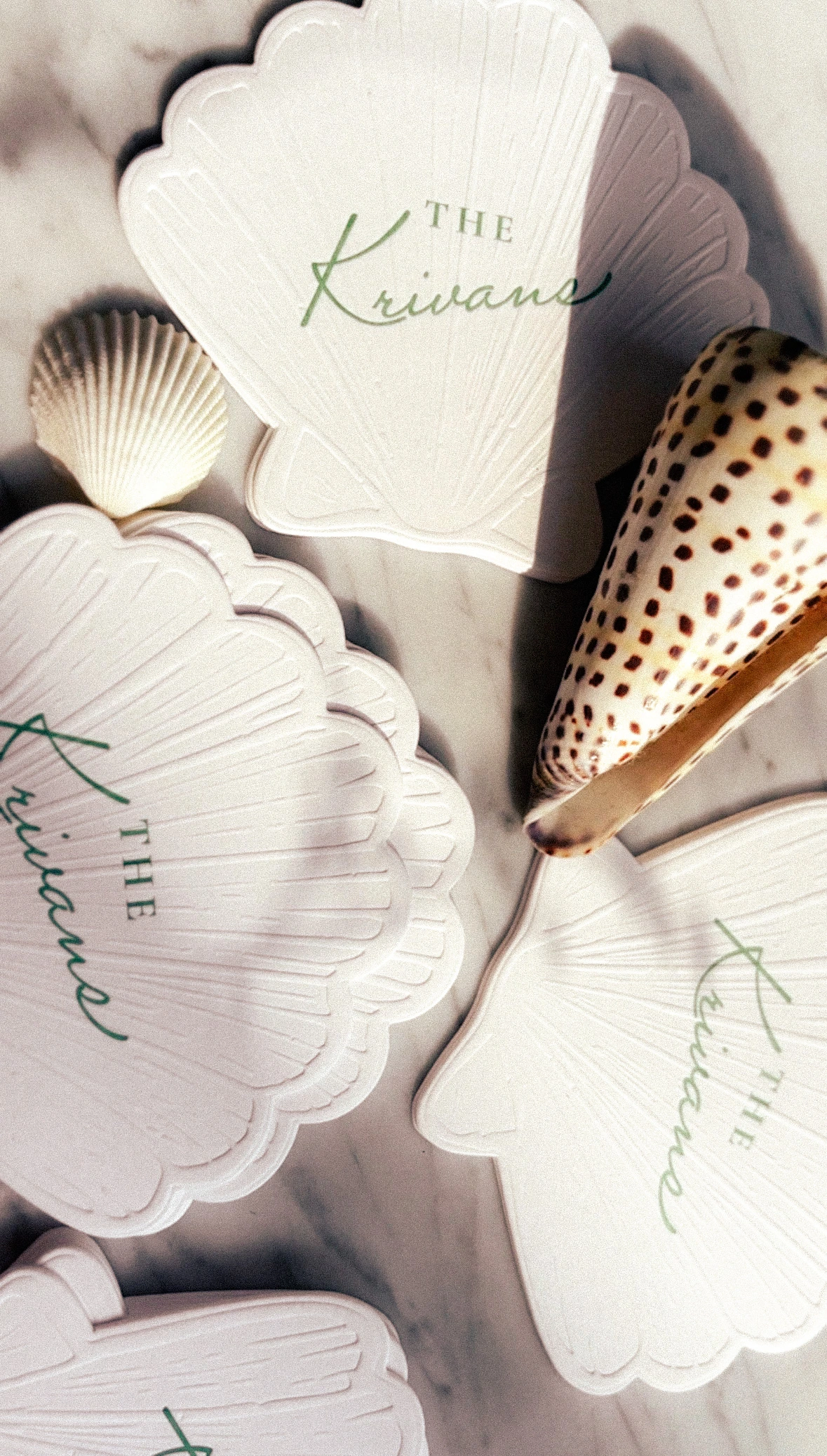 Island Time Shell Collection